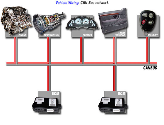 [Vehicle Wiring: CAN Bus network]